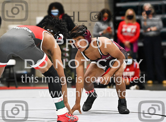 DLS_0183