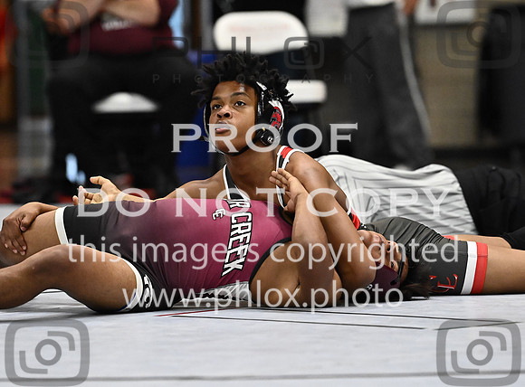 DLS_0201
