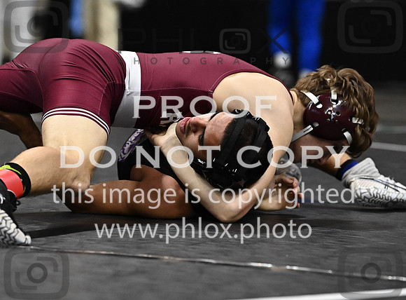 DLS_0180