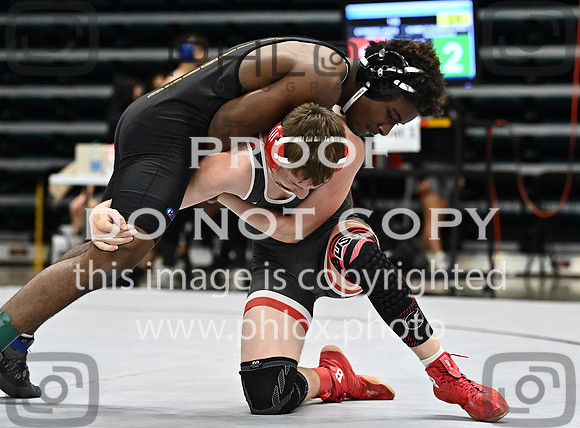 DLS_0260