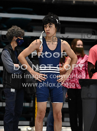 DLS_0170