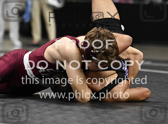 DLS_0178