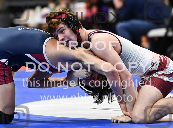 DLS_0203