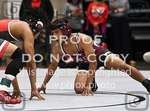 DLS_0184