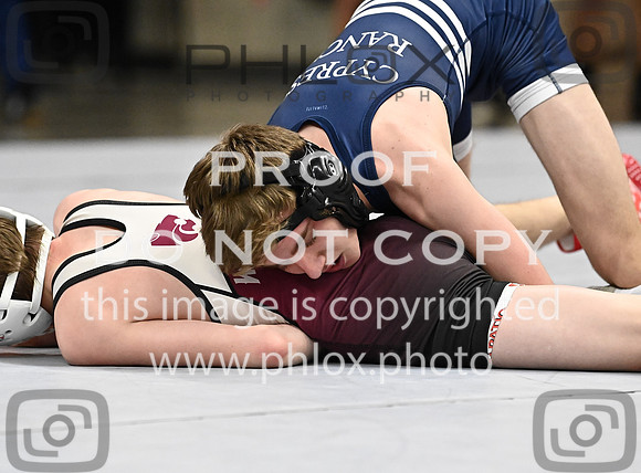 DLS_0166