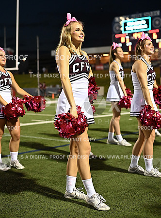 DLS_7037