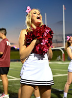 DLS_6725