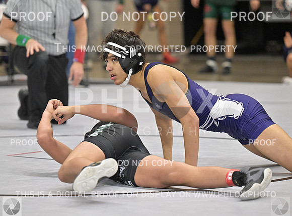 TZ9_4919
