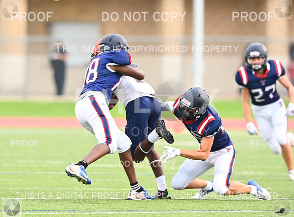 DLS_4619