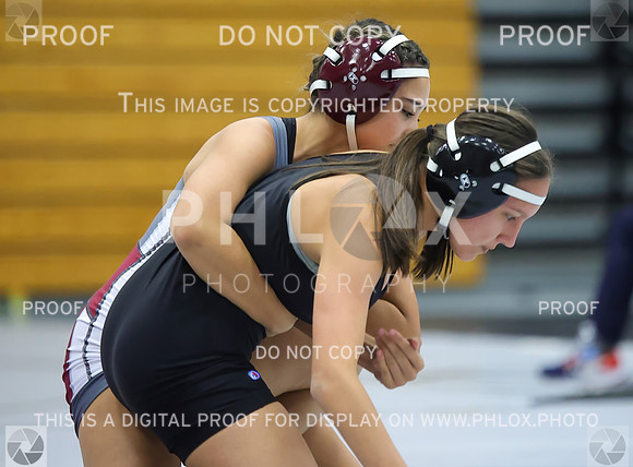 DDN_8443