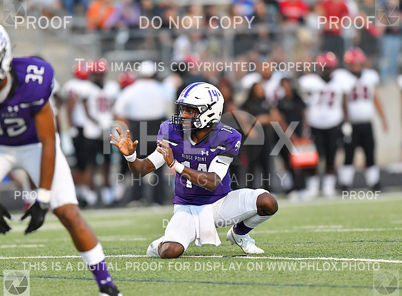 RP2_2923