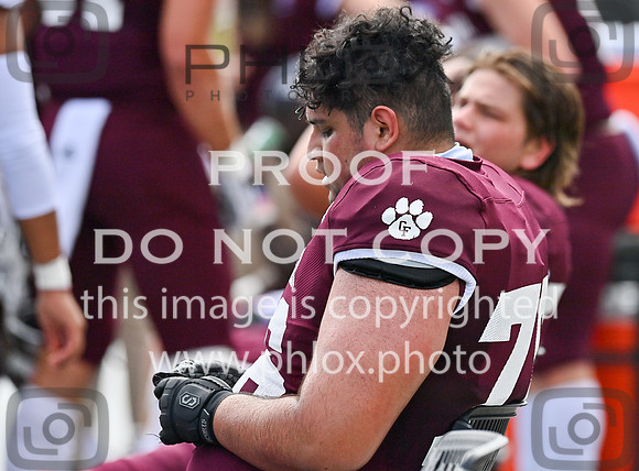 DLS_9703