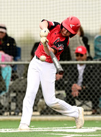 2 Brady Ekdall, Premier 12U Campos