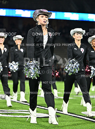 DLS_7831