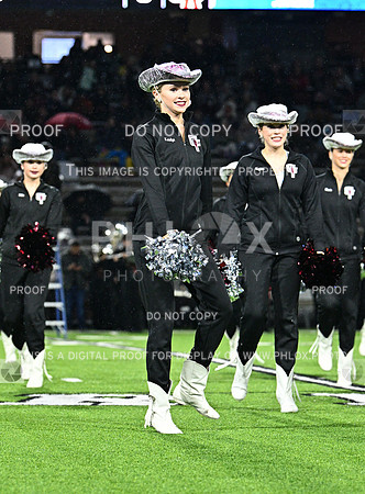 DLS_7810