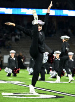DLS_7717
