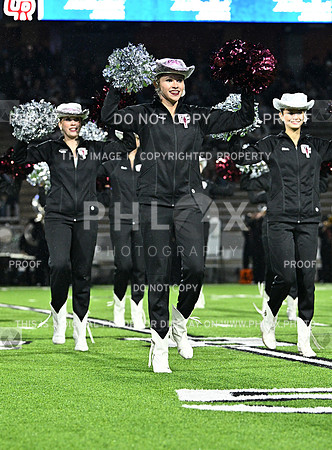 DLS_7814