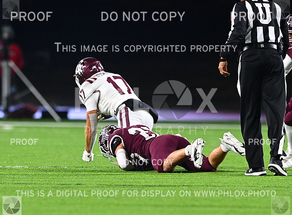 DLS_8139