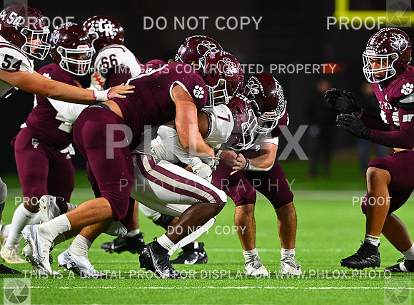 DLS_7888-2