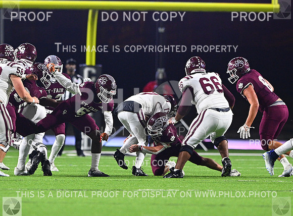 DLS_8179