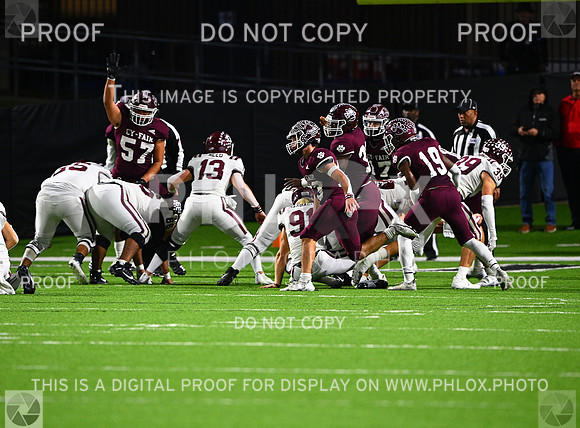 DLS_8447