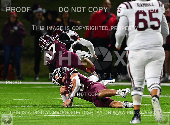 DLS_8940
