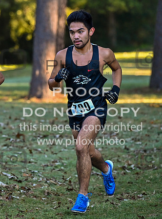 DLS_4604