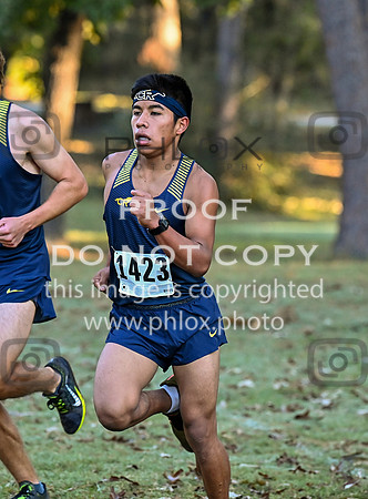 DLS_4574