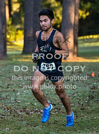 DLS_4608