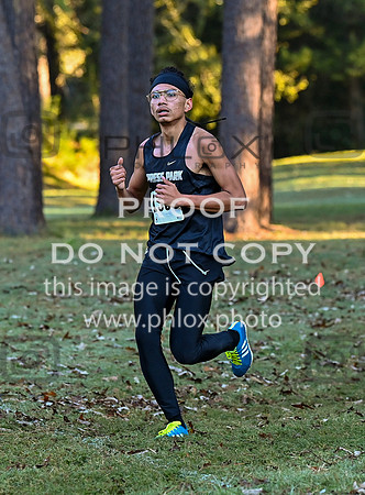 DLS_4620