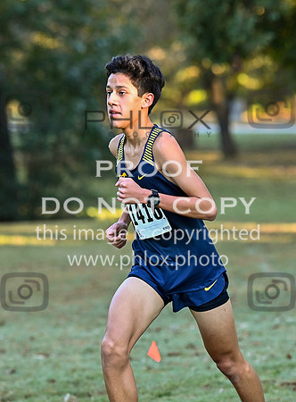 DLS_4579
