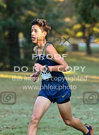 DLS_4580