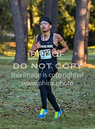 DLS_4622