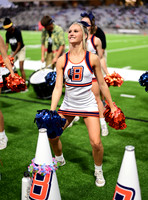 TOM_6597