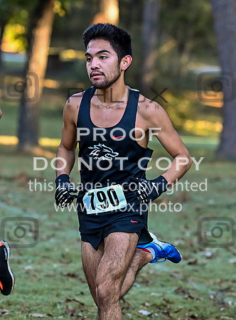 DLS_4609
