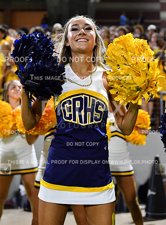 FDS_0964