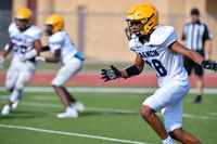 18 DACIAN FIELDS Cy Ranch 8-25