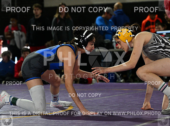 DLS_8790