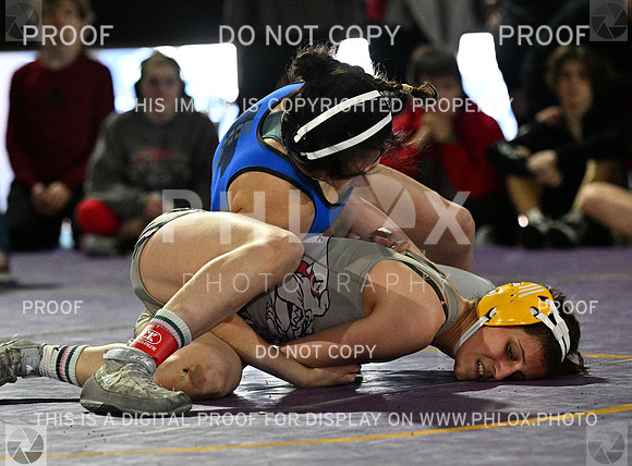 DLS_8812