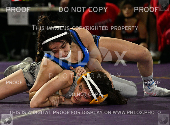 DLS_8816