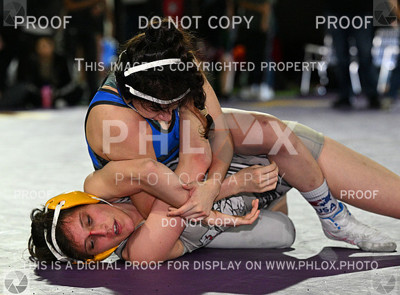 DLS_8833