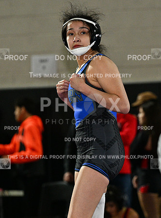 DLS_8841