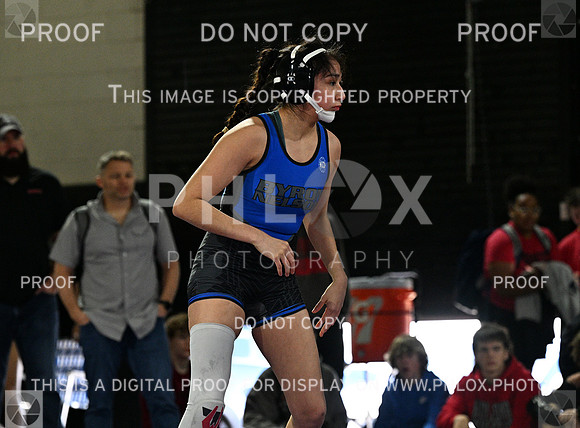 DLS_8797