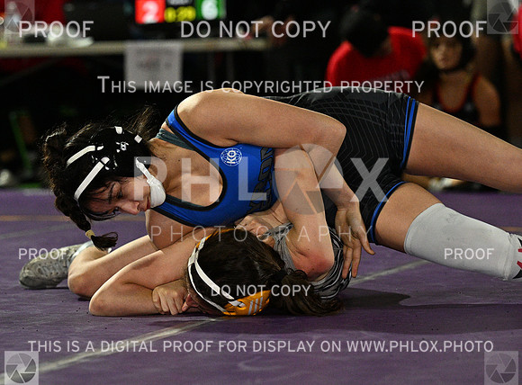 DLS_8817