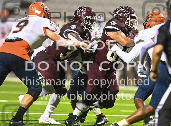 DLS_8491