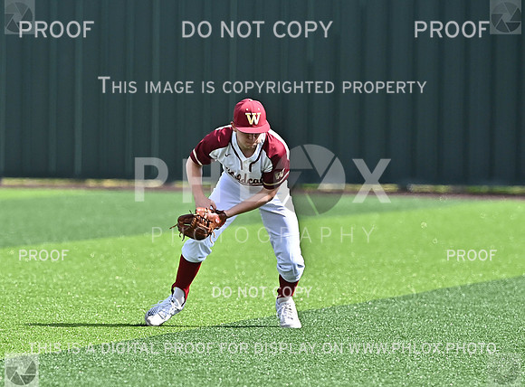 DLS_8018