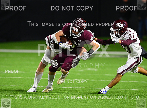DLS_8516
