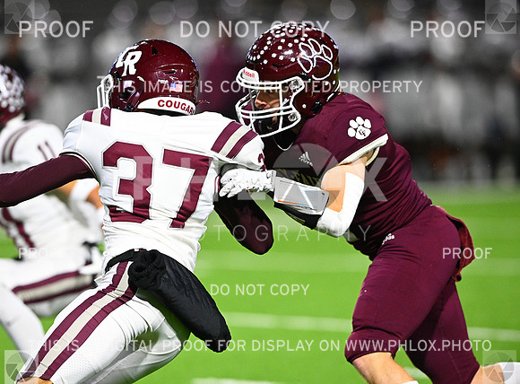 DLS_7606-2