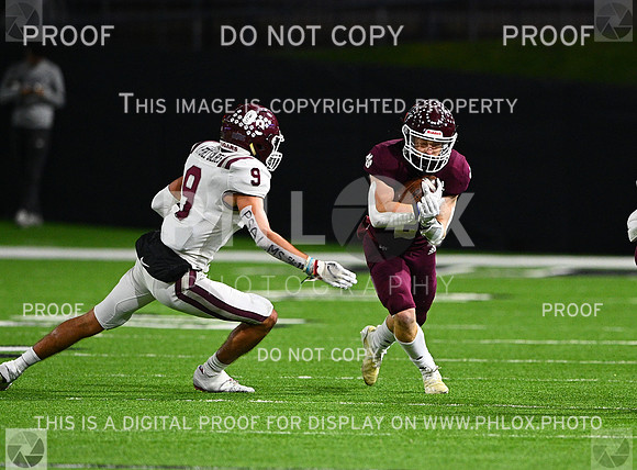 DLS_8525