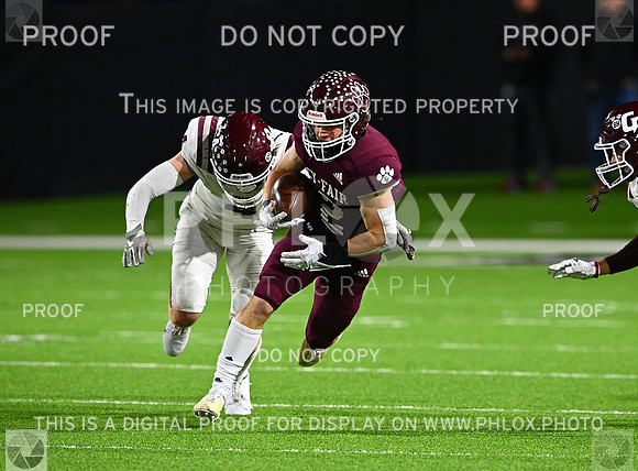 DLS_8515